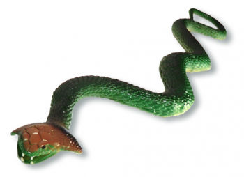 Kobra Schlange grün
