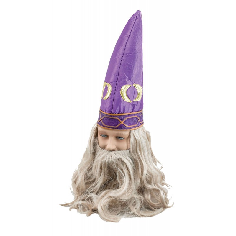 Zauberer Hut mit Haaren und Bart
