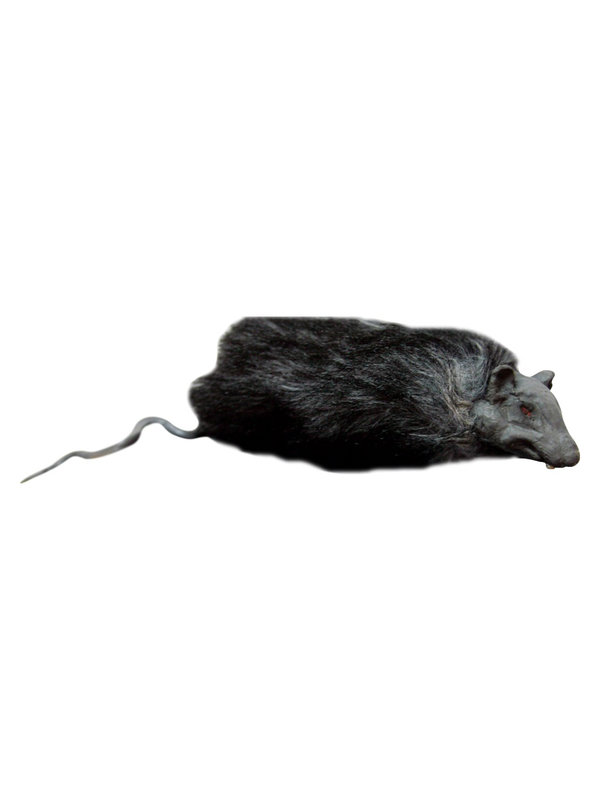 Deko-Ratte Halloween-Gruseltier schwarz-grau