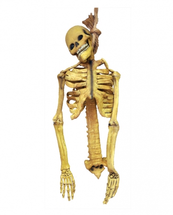 Skelett Torso aus Latex