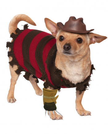 Freddy Krueger Kostüm für Hunde