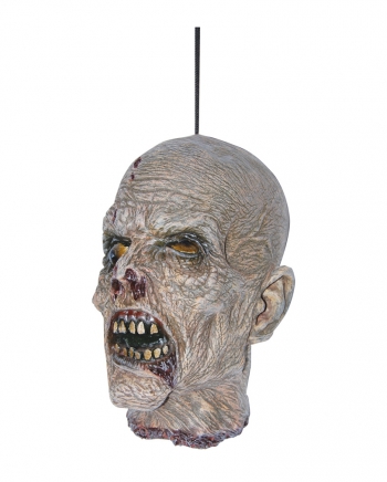 Abgetrennter Zombie Schädel aus Latex