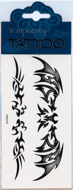 Flügel Tattoo Dragon Wings