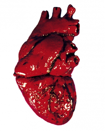 Blutiges Herz aus Latex