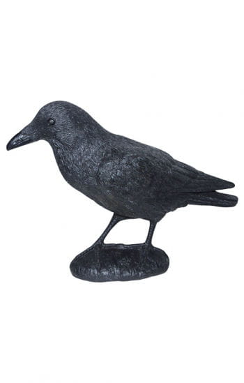 Schwarze Krähe aus Kunststoff 43 cm