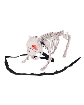 Bellender Skelett Hund