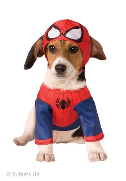 Spiderman Hunde Kostm