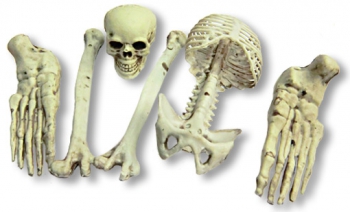 Kleiner Sack mit Skelettknochen 6-teilig