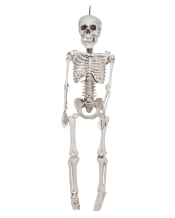 Grusel Skelett Hängefigur